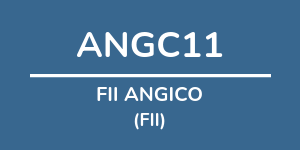Logo do fundo FII ANGICO