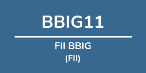 Logo do fundo: FII BBIG Logo do fundo FII BBIG