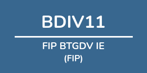 Logo do fundo FIP BTGDV IE