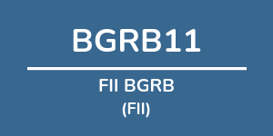 Logo do fundo FII BGRB