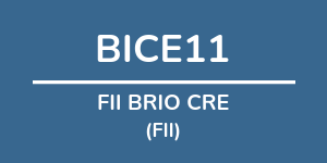 Logo do fundo FII BRIO CRE
