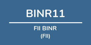 Logo do fundo FII BINR