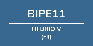 Logo do fundo FII BRIO V