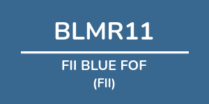 Logo do fundo FII BLUE FOF