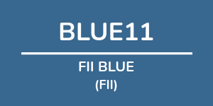 Logo do fundo FII BLUE