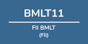Logo do fundo FII BMLT