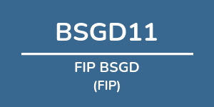 Logo do fundo FIP BSGD