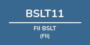 Logo do fundo FII BSLT