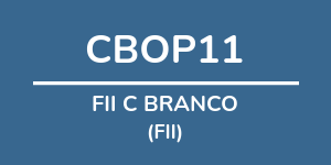 Logo do fundo FII C BRANCO