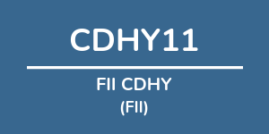 Logo do fundo FII CDHY