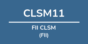 Logo do fundo FII CLSM