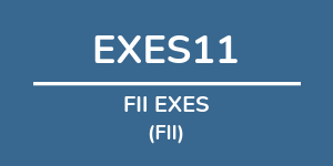 Logo do fundo FII EXES