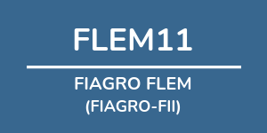 Logo do fundo FIAGRO FLEM