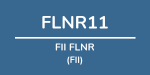 Logo do fundo FII FLNR