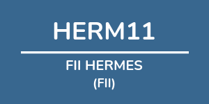 Logo do fundo FII HERMES