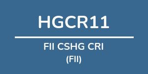 Logo do fundo: FII CSHG CRI Logo do fundo FII CSHG CRI