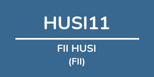 Logo do fundo FII HUSI