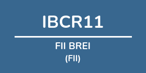 Logo do fundo FII BREI