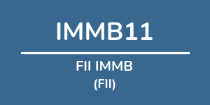 Logo do fundo FII IMMB