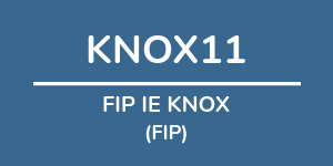 Logo do fundo FIP IE KNOX