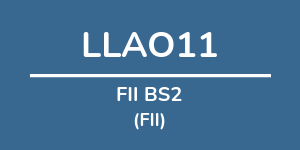 Logo do fundo FII BS2