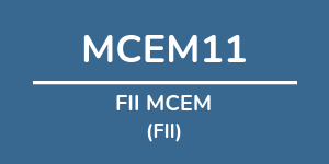 Logo do fundo FII MCEM