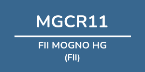 Logo do fundo FII MOGNO HG