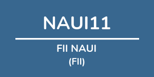 Logo do fundo FII NAUI