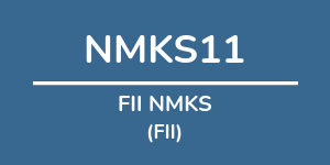 Logo do fundo FII NMKS