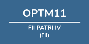 Logo do fundo FII PATRI IV