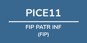 Logo do fundo FIP PATR INF