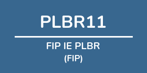 Logo do fundo FIP IE PLBR