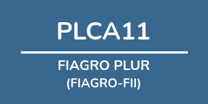 Logo do fundo FIAGRO PLUR