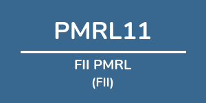 Logo do fundo FII PMRL