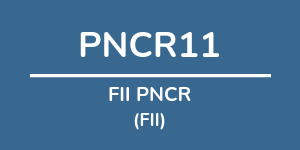 Logo do fundo FII PNCR