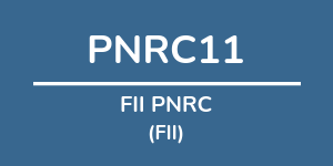 Logo do fundo FII PNRC