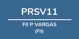 Logo do fundo FII P VARGAS