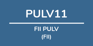 Logo do fundo FII PULV