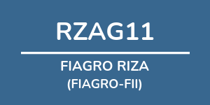 Logo do fundo FIAGRO RIZA