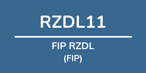Logo do fundo FIP RZDL
