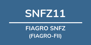 Logo do fundo FIAGRO SNFZ