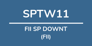 Logo do fundo FII SP DOWNT