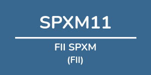 Logo do fundo: FII SPXM Logo do fundo FII SPXM