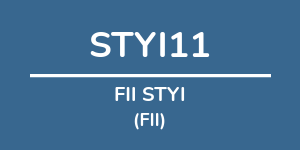 Logo do fundo FII STYI
