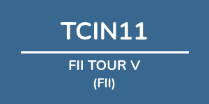 Logo do fundo FII TOUR V