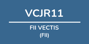 Logo do fundo FII VECTIS