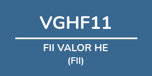 Logo do fundo: FII VALOR HE Logo do fundo FII VALOR HE