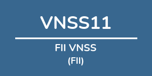 Logo do fundo FII VNSS