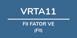 Logo do fundo FII FATOR VE