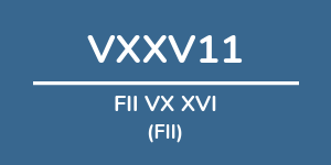 Logo do fundo FII VX XVI